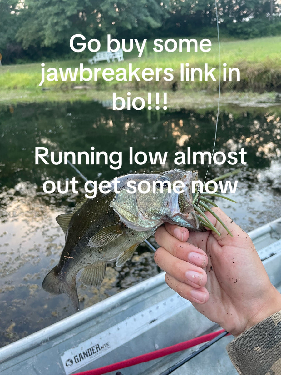 Bass held up with a Jawbreaker from a boat