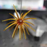 HOOKJAW Jawbreaker urchin bait in Pumpkin, amber spines with a red core
