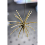 HOOKJAW Jawbreaker urchin bait in Swamp Craw