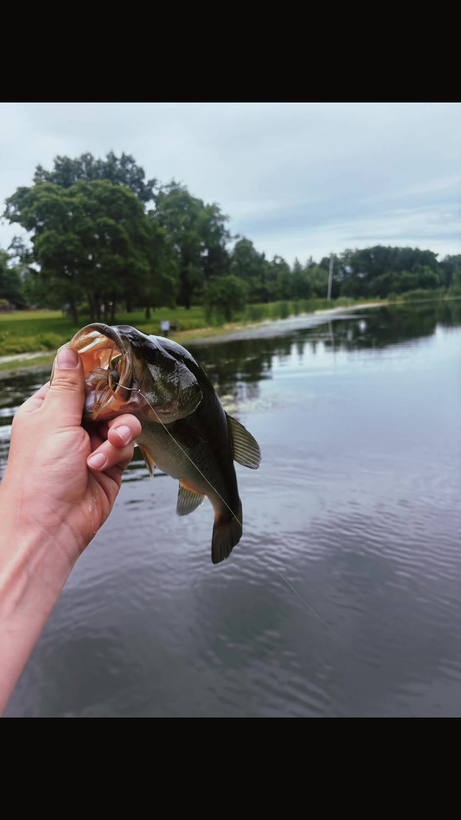 Hand holding a bass over calm water