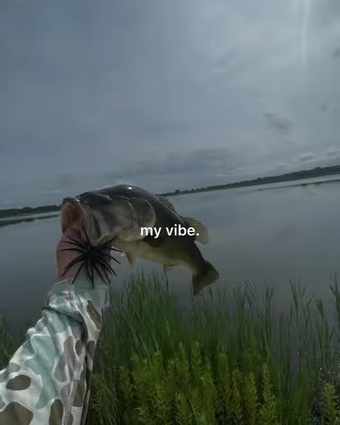 Bass held up with a Jawbreaker in its mouth over a lake
